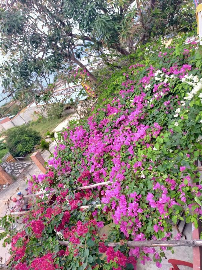 מלון קוי נון Confetti House מראה חיצוני תמונה